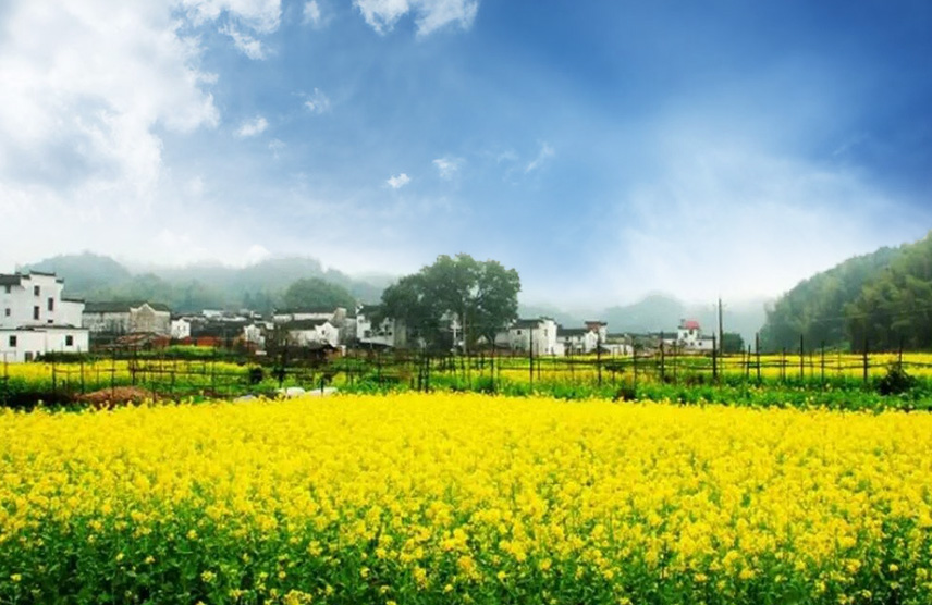 廬山,婺源